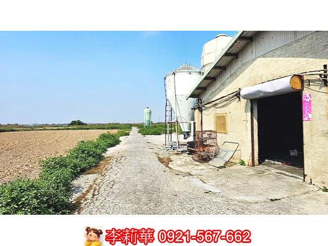 台南養雞場-0
