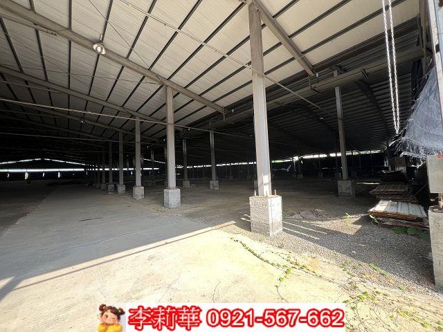 南投竹山養菇場-3