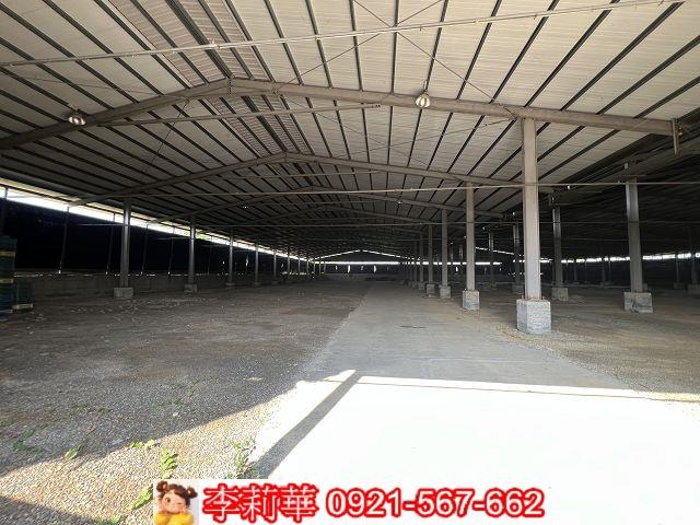 南投竹山養菇場-4
