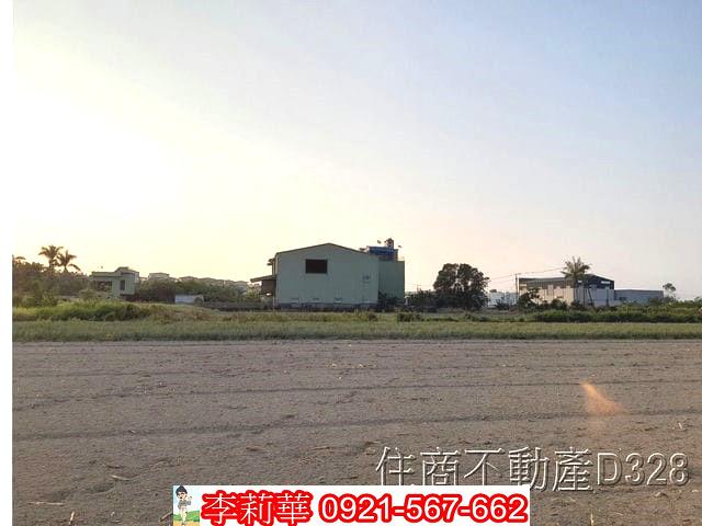 安南農地-11