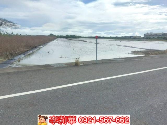 安南農地-4