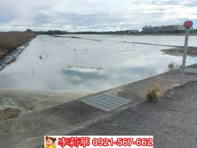 安南農地-5