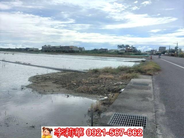安南農地-6