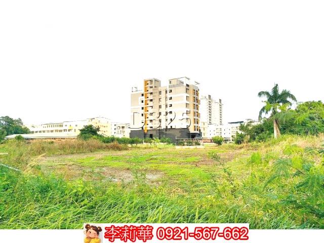 新市農地-1