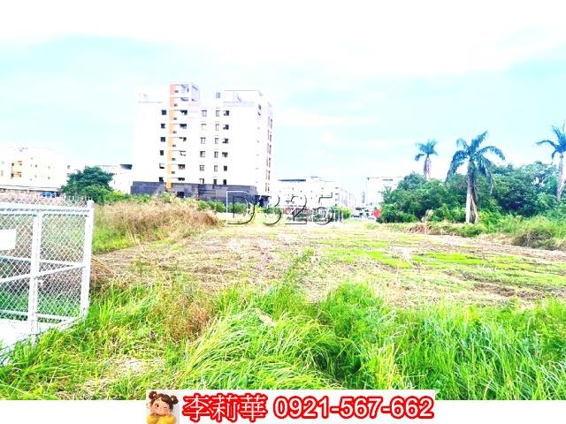新市農地-2