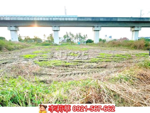 新市農地-4