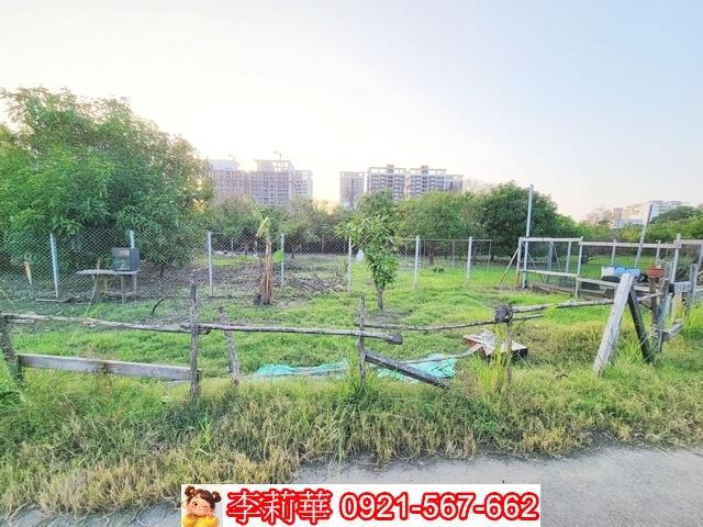 南區農地-6