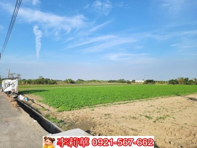 安定農地-9