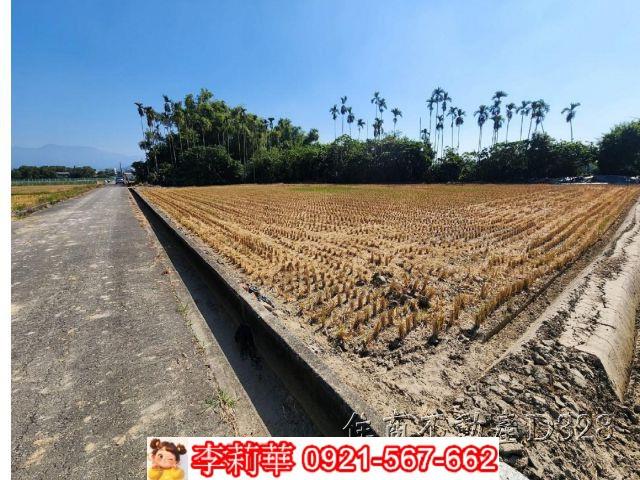 台南農地-2