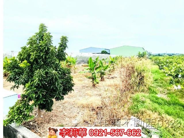 高雄農地-10