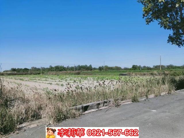 台南農地-9