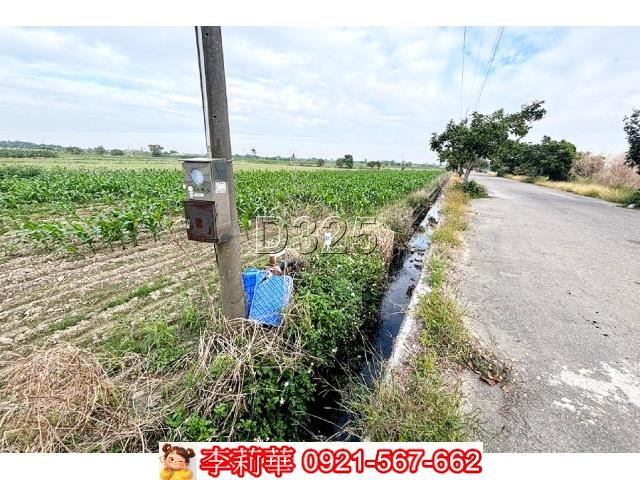台南安定農地-8