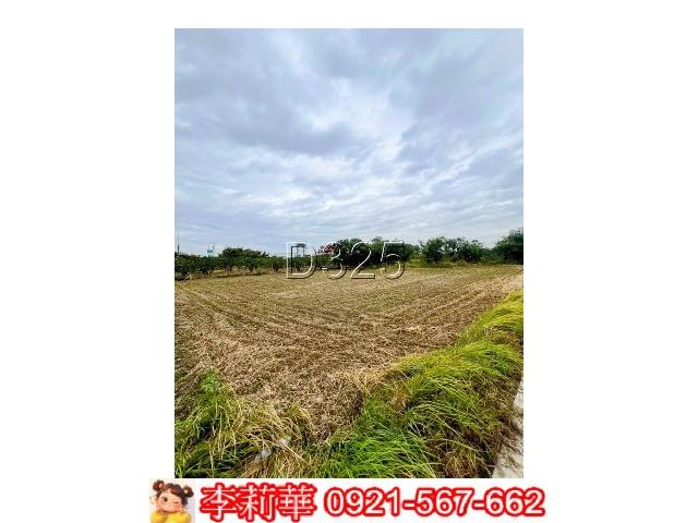 台南麻豆農地-6
