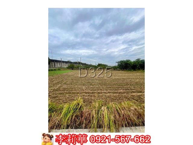 台南麻豆農地-7
