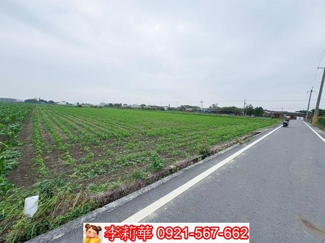 台南鹽水農地-3