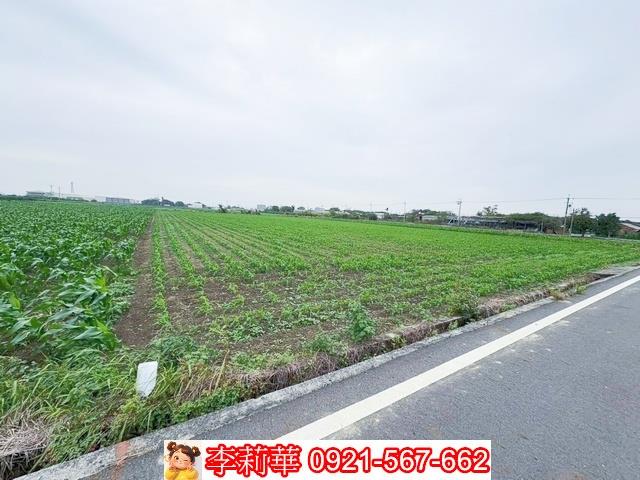 台南鹽水農地-4