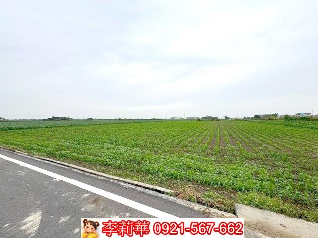 台南鹽水農地-5