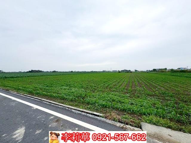 台南鹽水農地-6