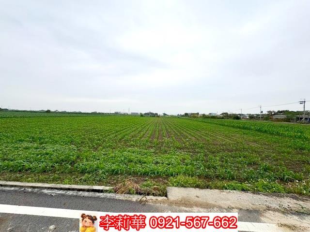 台南鹽水農地-8