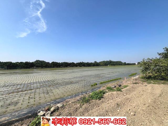 官田農地-9