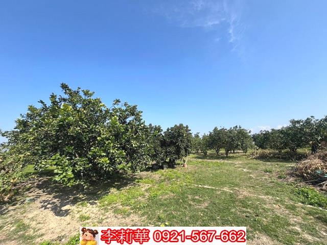 官田農地-4