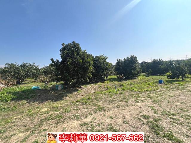 官田農地-6