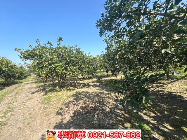 官田農地-7