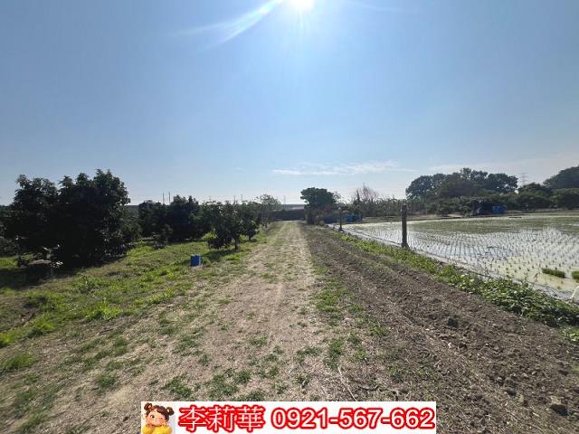 官田農地-8