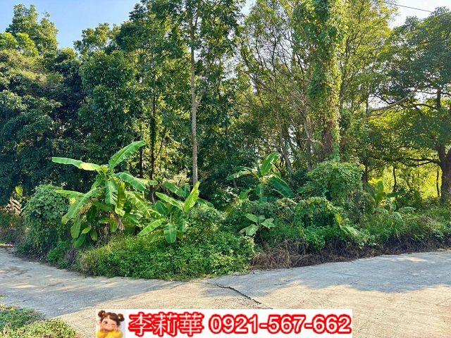 台南農地-2