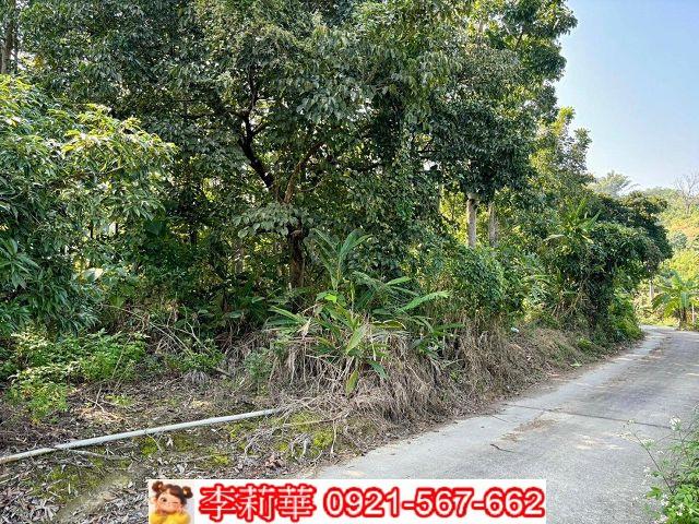 台南農地-5