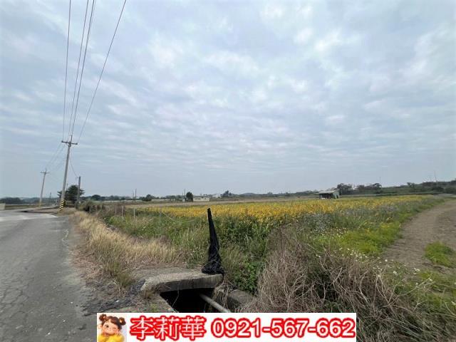 台南農地-6