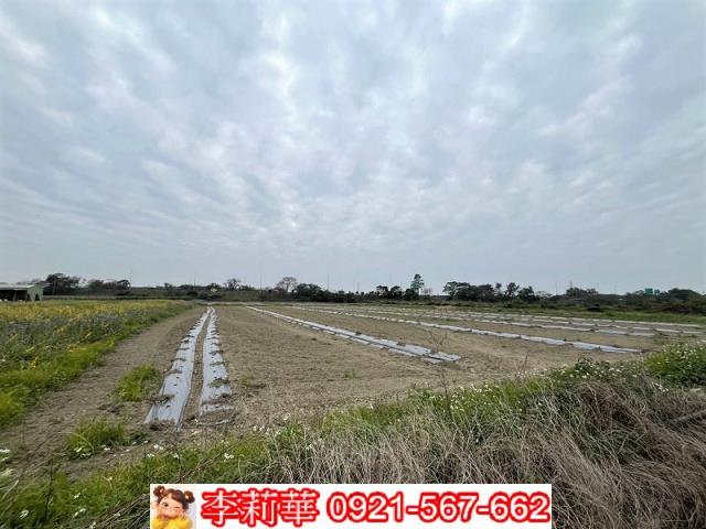 台南農地-8