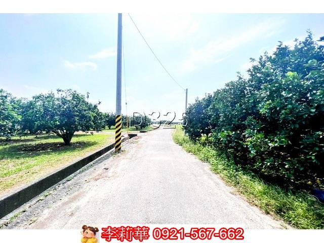 麻豆農地-0