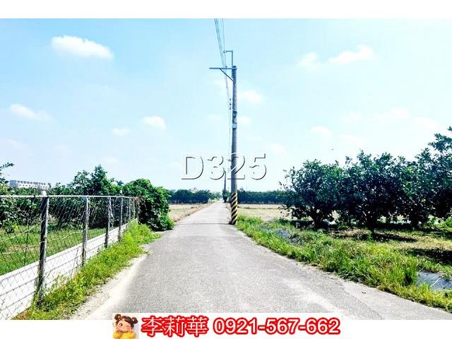 麻豆農地-1