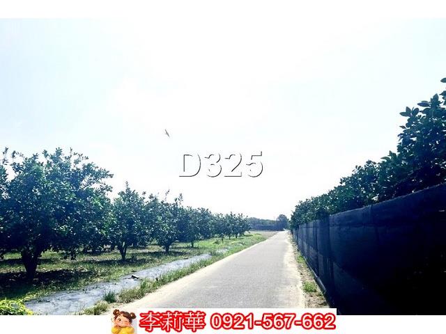 麻豆農地-2