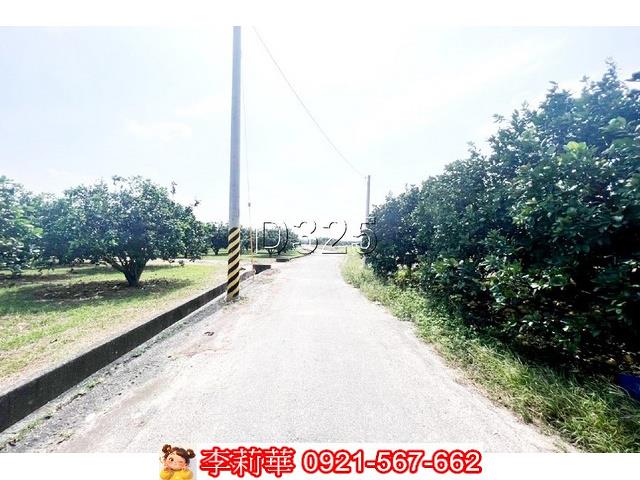 麻豆農地-4