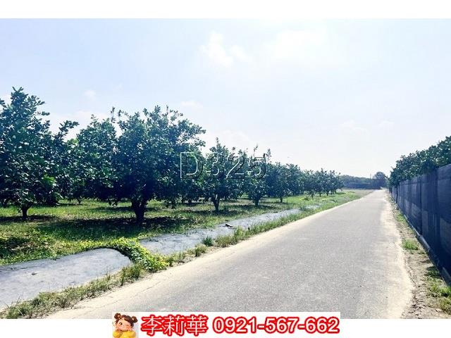 麻豆農地-5