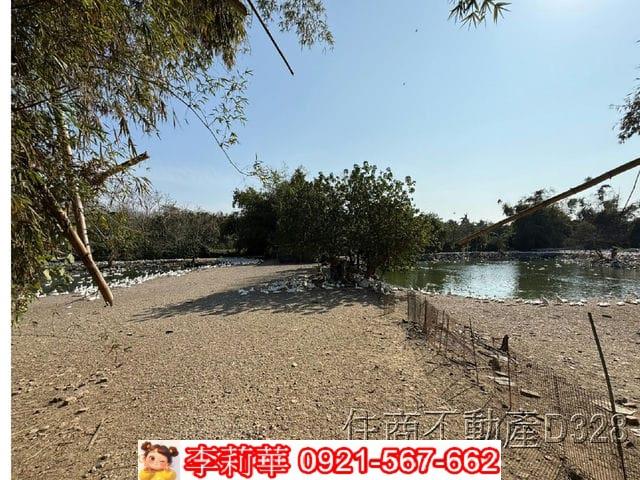 歸仁農地-6