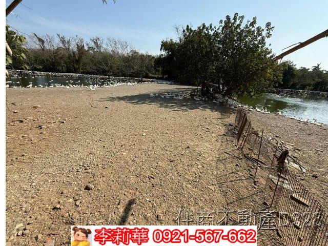 歸仁農地-7