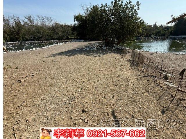 歸仁農地-8
