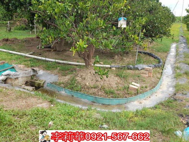 台南麻豆農地-10