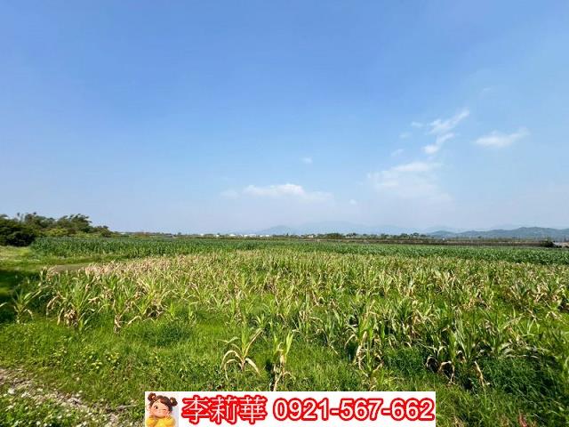 東山農地-10