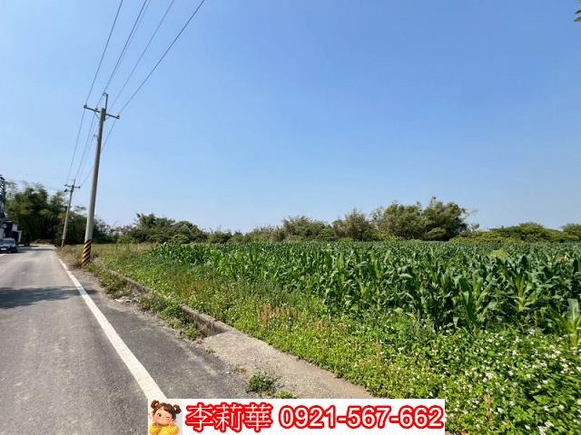 東山農地-8