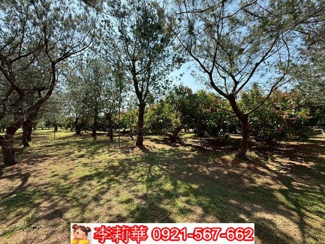 台南玉井農地-9