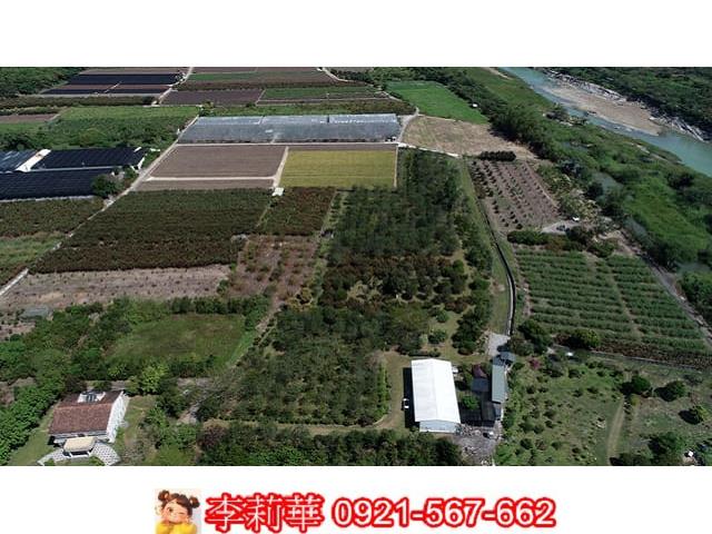台南玉井農地-3