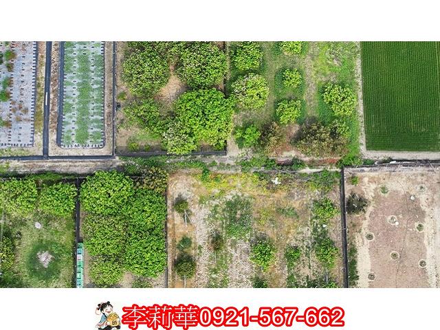 台南農地-5