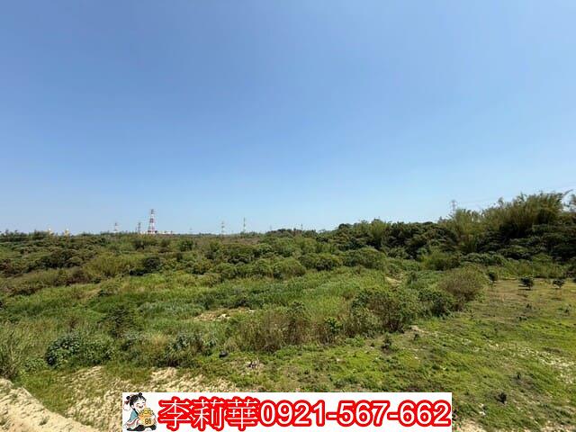 台南新化農地-3