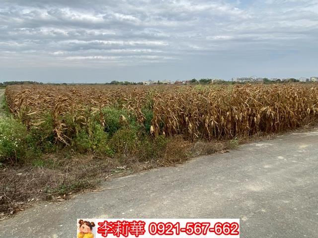 台南農地-11