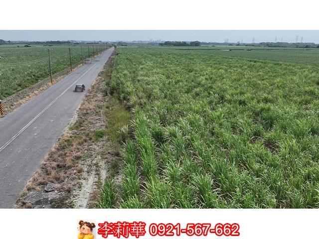 台南農地-3
