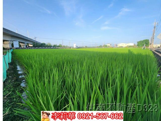 六甲農地-7